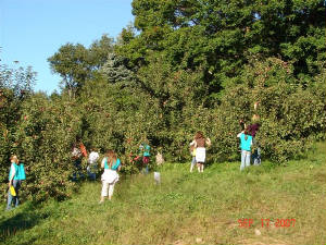 pictures034.jpg